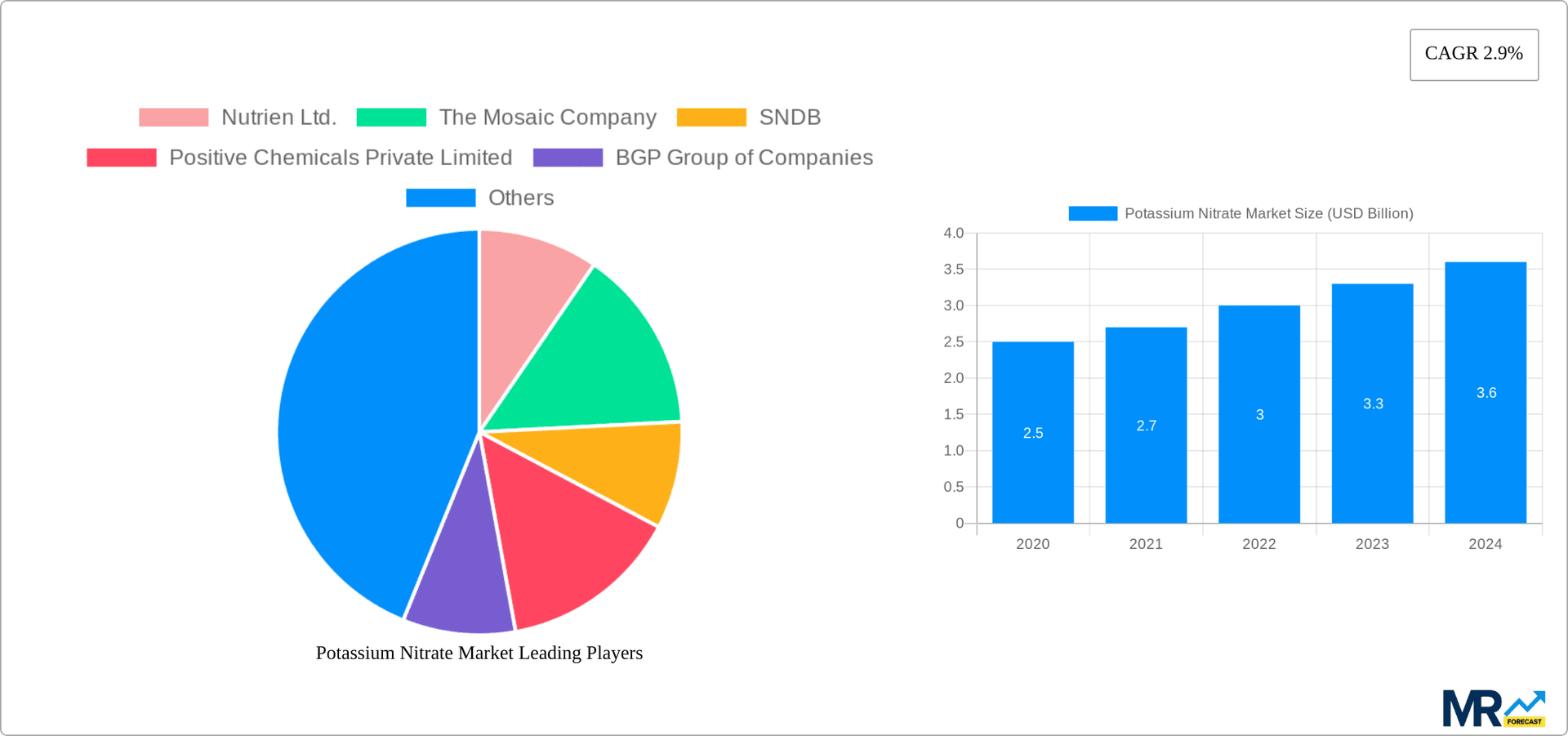 Potassium Nitrate Market Research Report - Market Overview and Key Insights