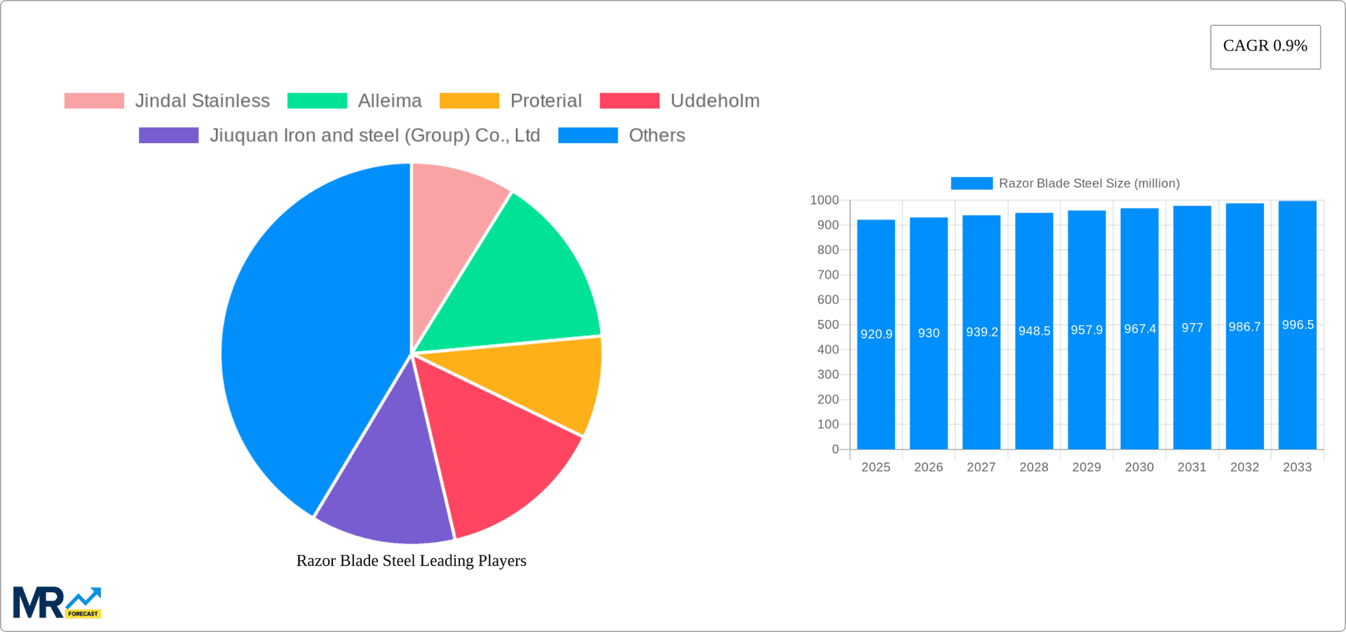 Razor Blade Steel Research Report - Market Overview and Key Insights