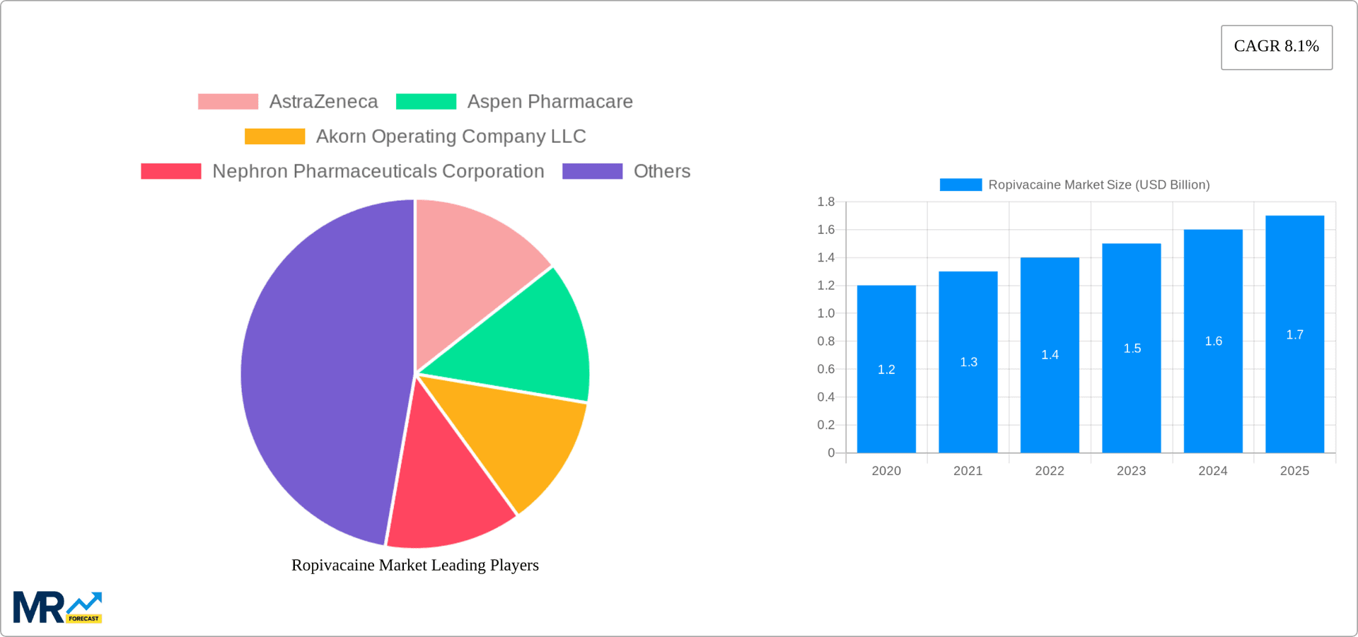 Ropivacaine Market Research Report - Market Overview and Key Insights