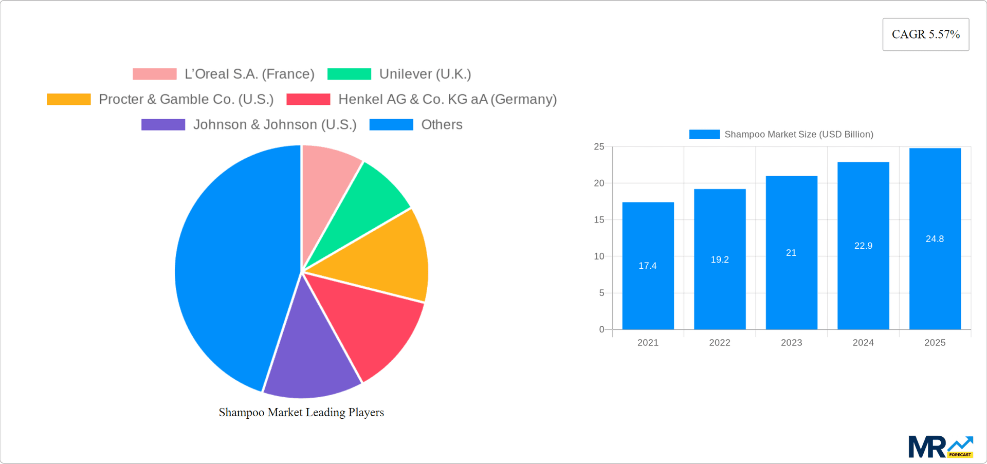 Shampoo Market Research Report - Market Overview and Key Insights