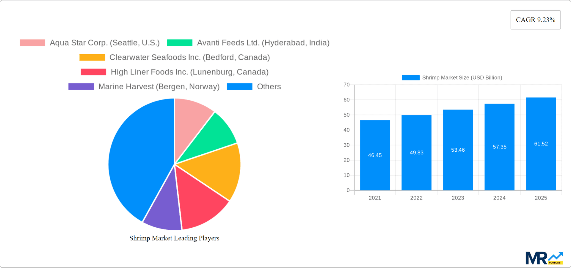 Shrimp Market Research Report - Market Overview and Key Insights