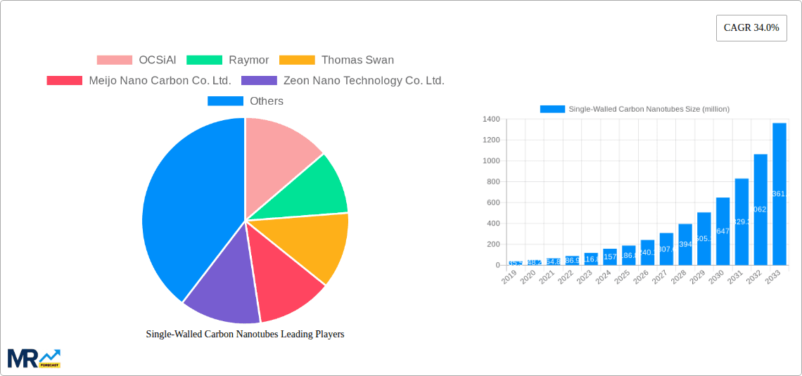Single-Walled Carbon Nanotubes Research Report - Market Overview and Key Insights