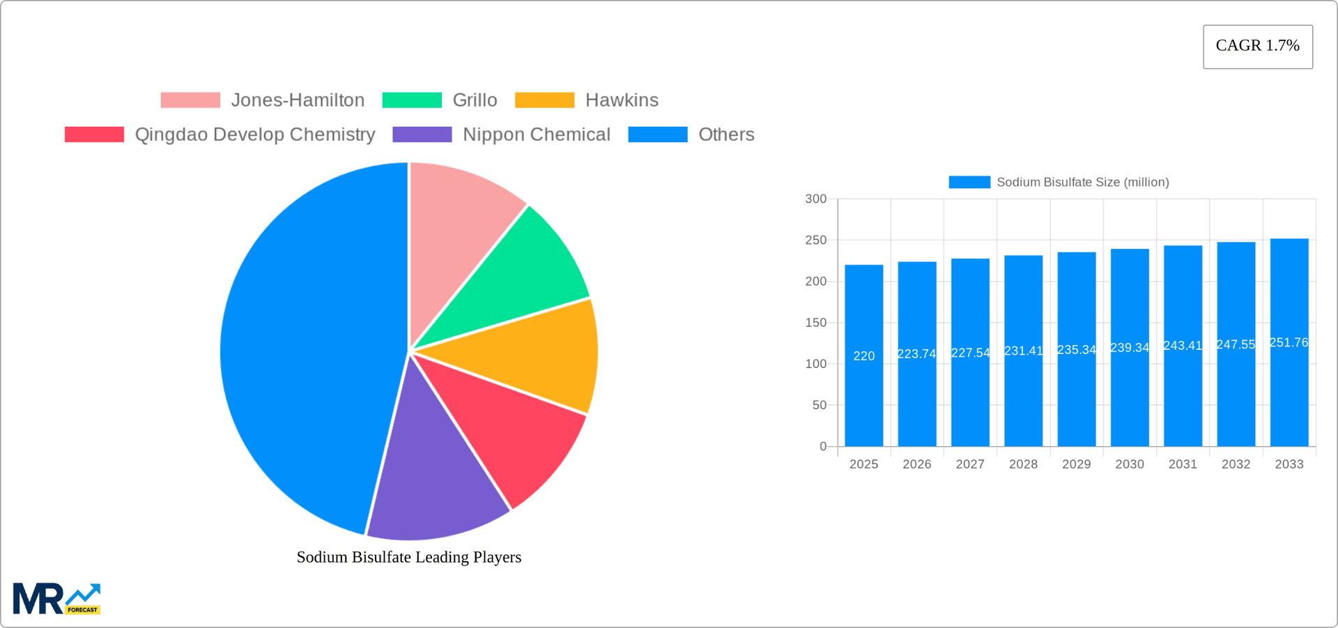 Sodium Bisulfate Research Report - Market Overview and Key Insights