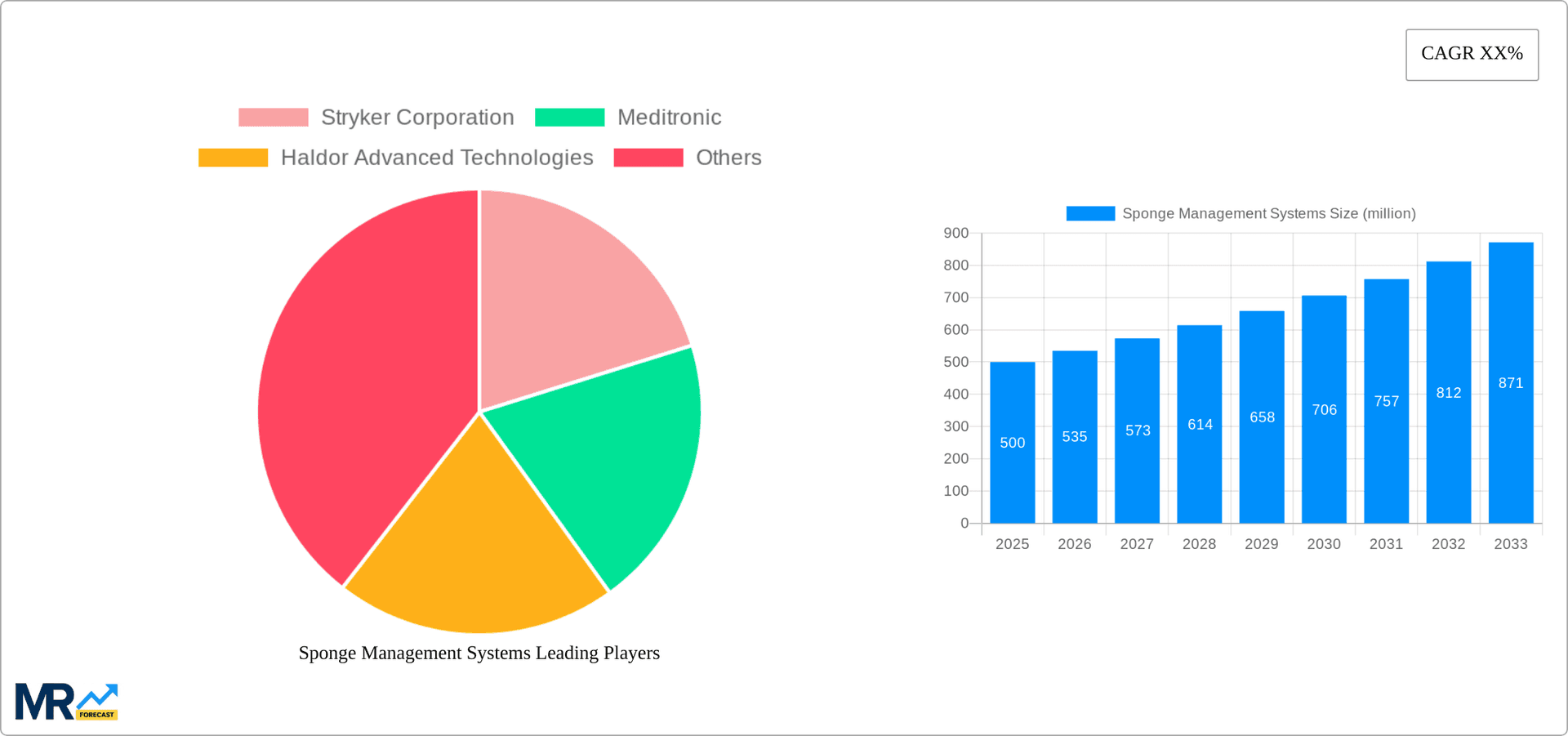 Sponge Management Systems Research Report - Market Overview and Key Insights