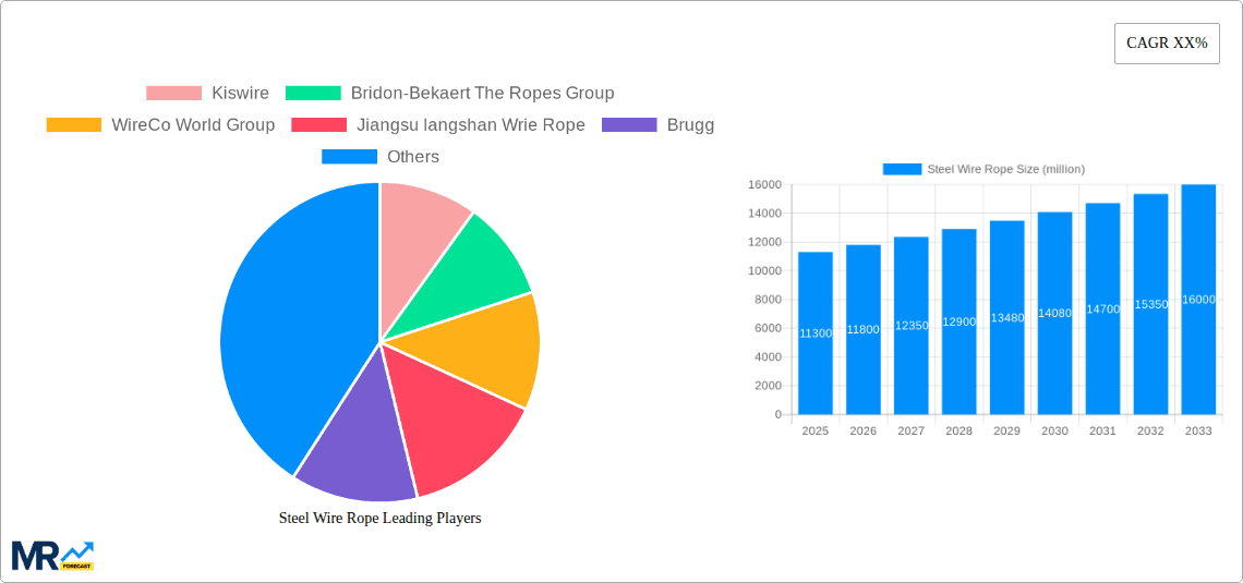 Steel Wire Rope Research Report - Market Overview and Key Insights
