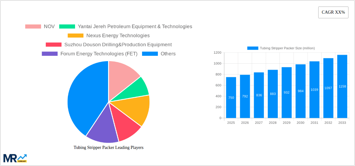 Tubing Stripper Packer Research Report - Market Overview and Key Insights