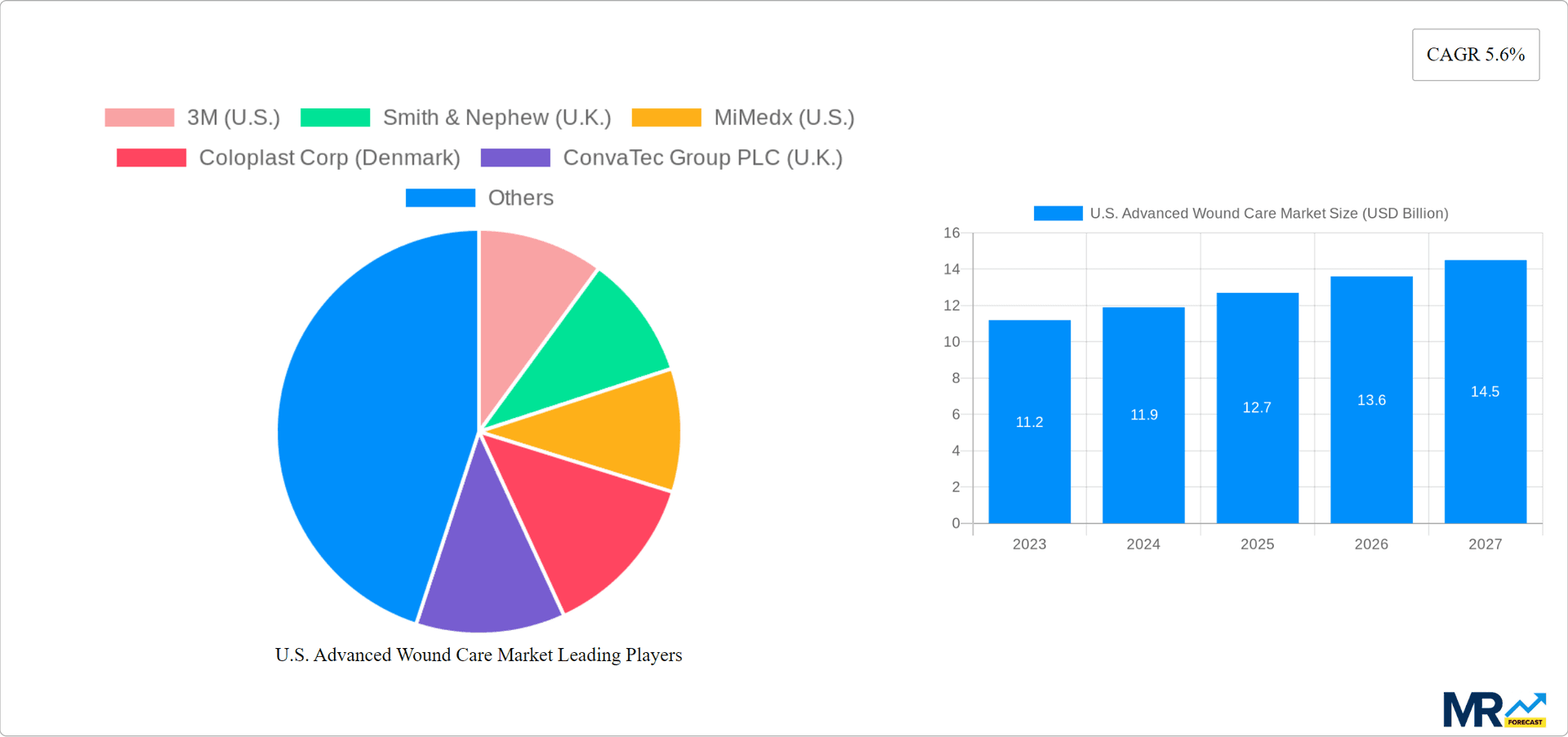 U.S. Advanced Wound Care Market Research Report - Market Overview and Key Insights