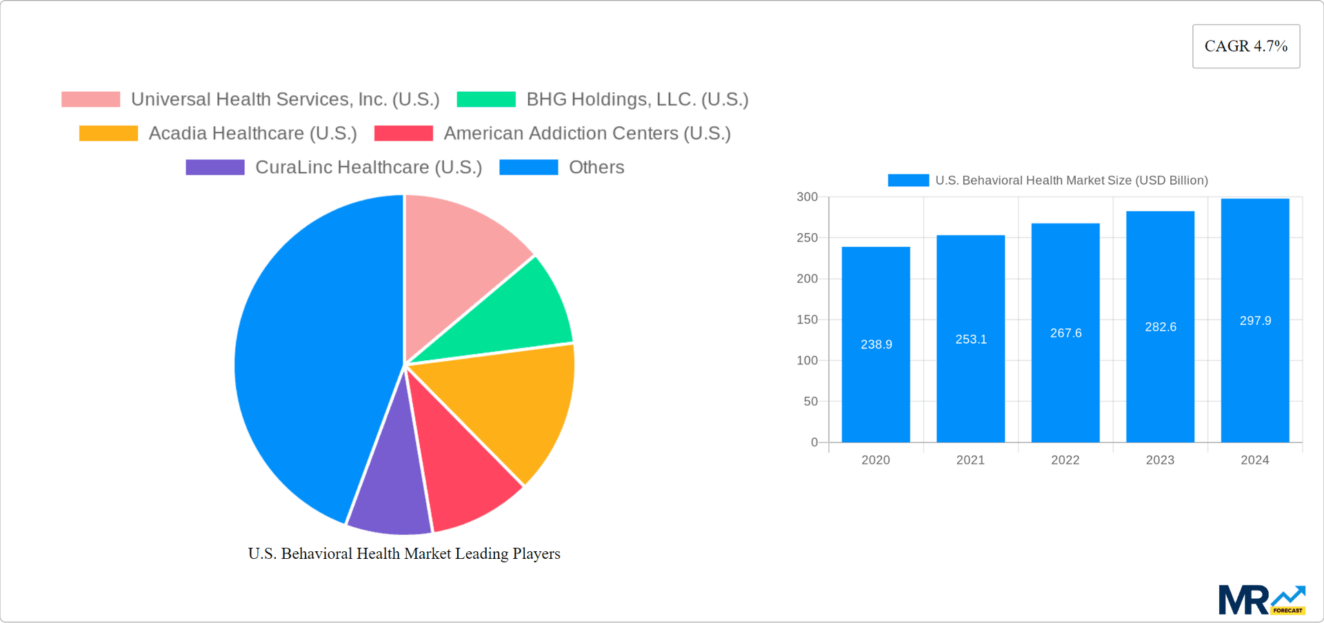 U.S. Behavioral Health Market Research Report - Market Overview and Key Insights