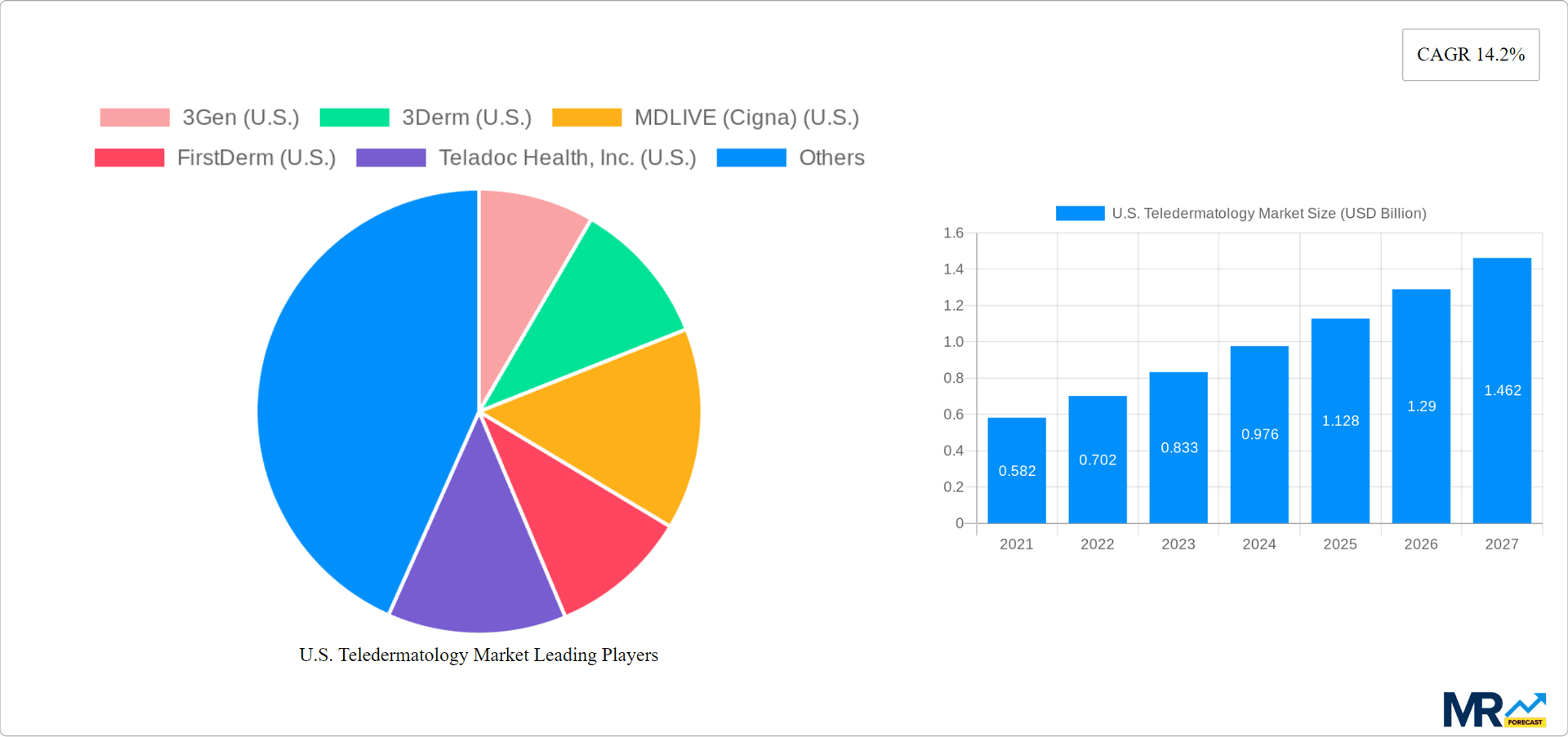 U.S. Teledermatology Market Research Report - Market Overview and Key Insights
