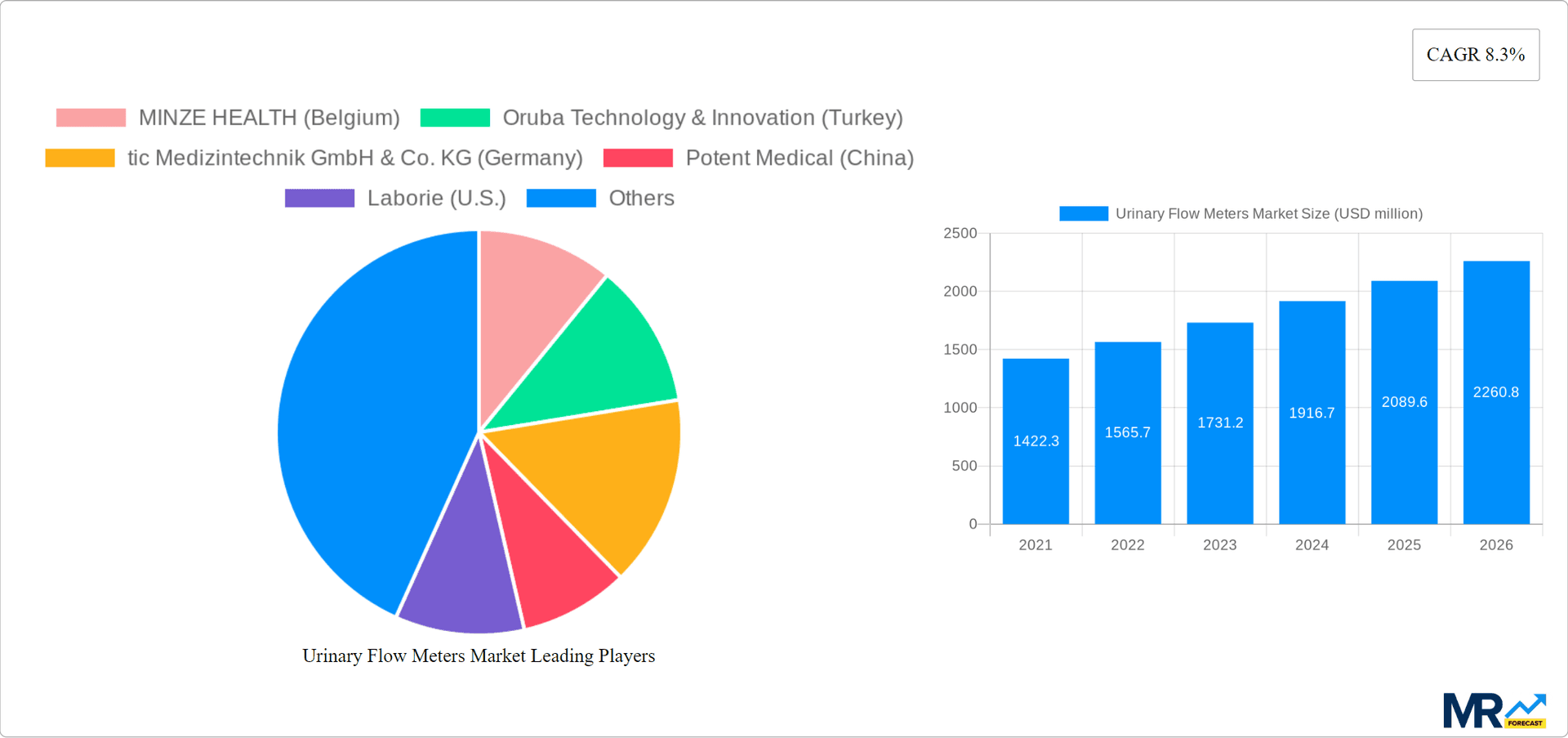 Urinary Flow Meters Market Research Report - Market Overview and Key Insights
