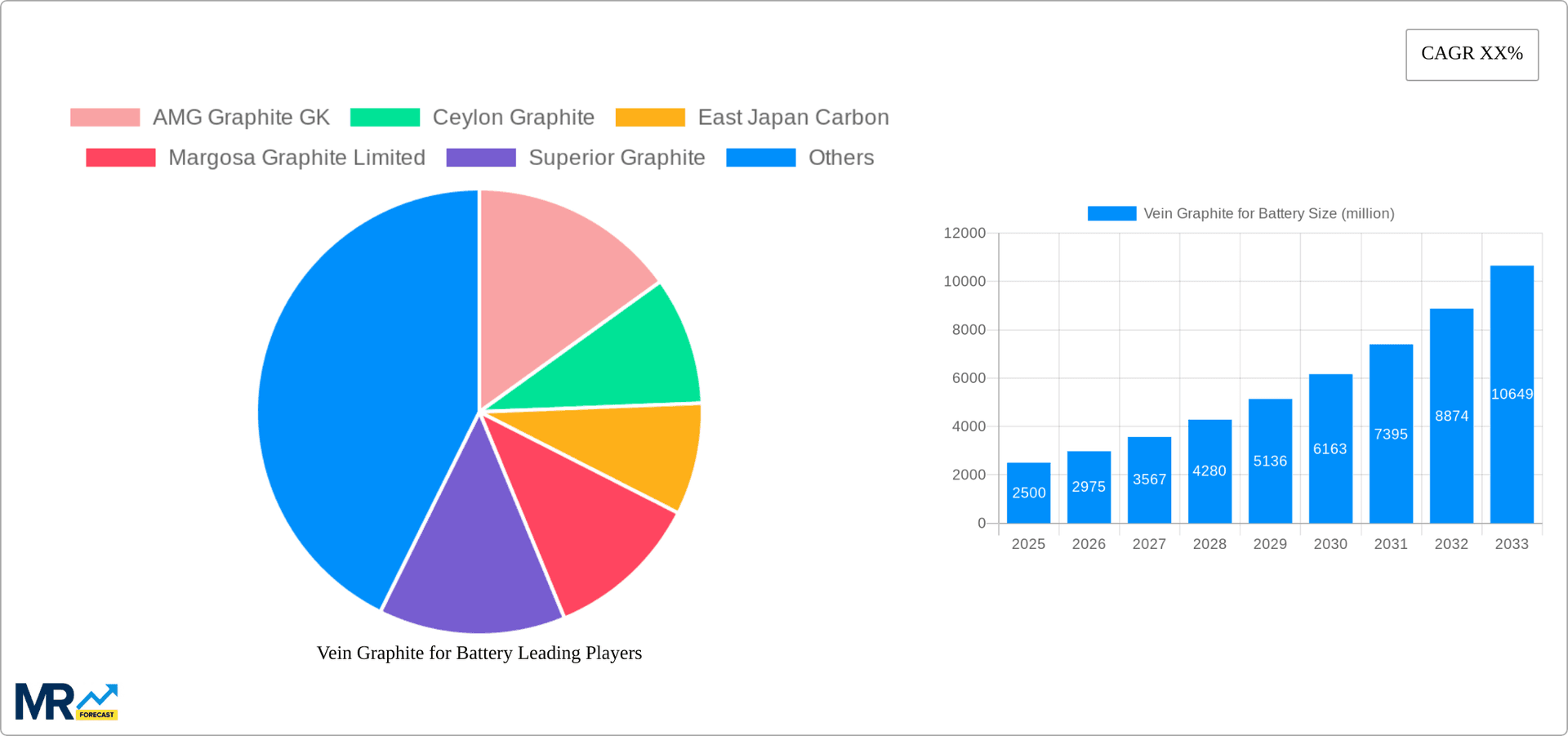 Vein Graphite for Battery Research Report - Market Overview and Key Insights