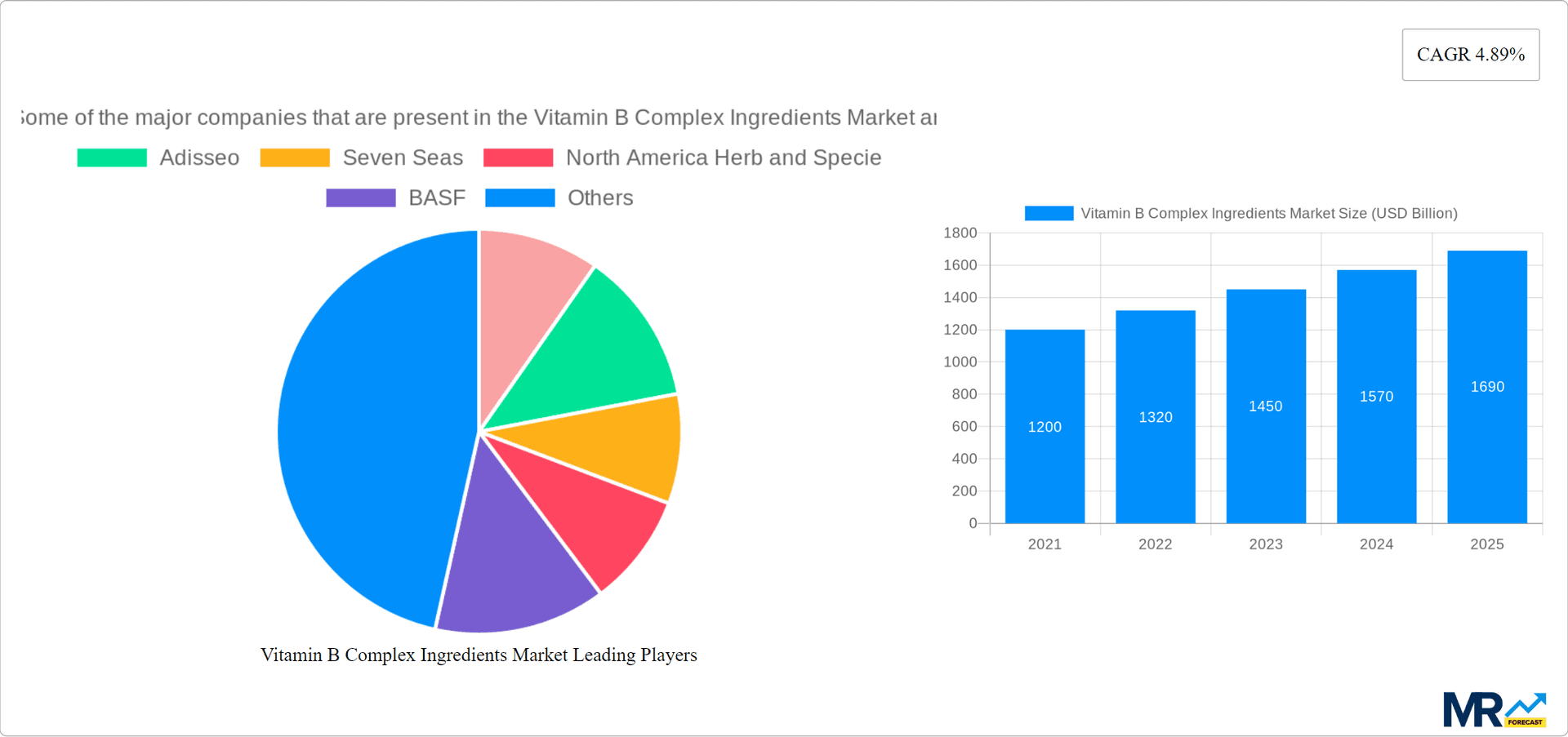 Vitamin B Complex Ingredients Market Research Report - Market Overview and Key Insights