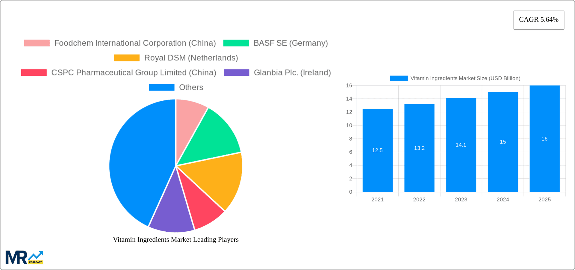 Vitamin Ingredients Market Research Report - Market Overview and Key Insights