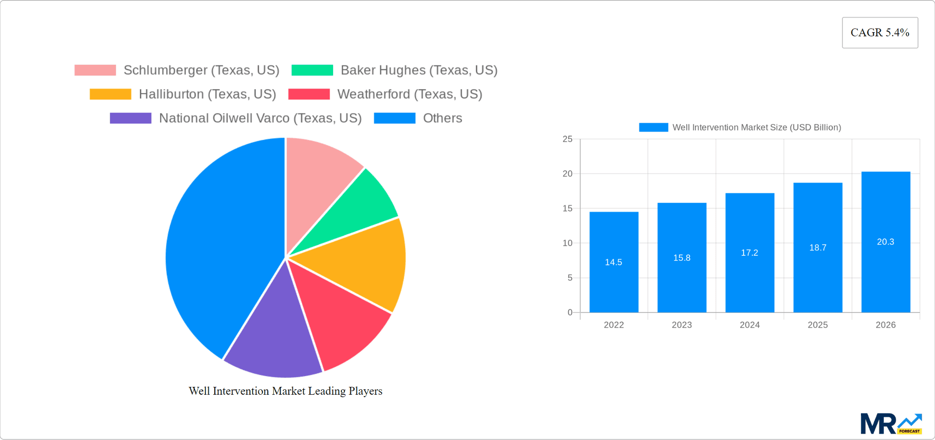 Well Intervention Market Research Report - Market Overview and Key Insights
