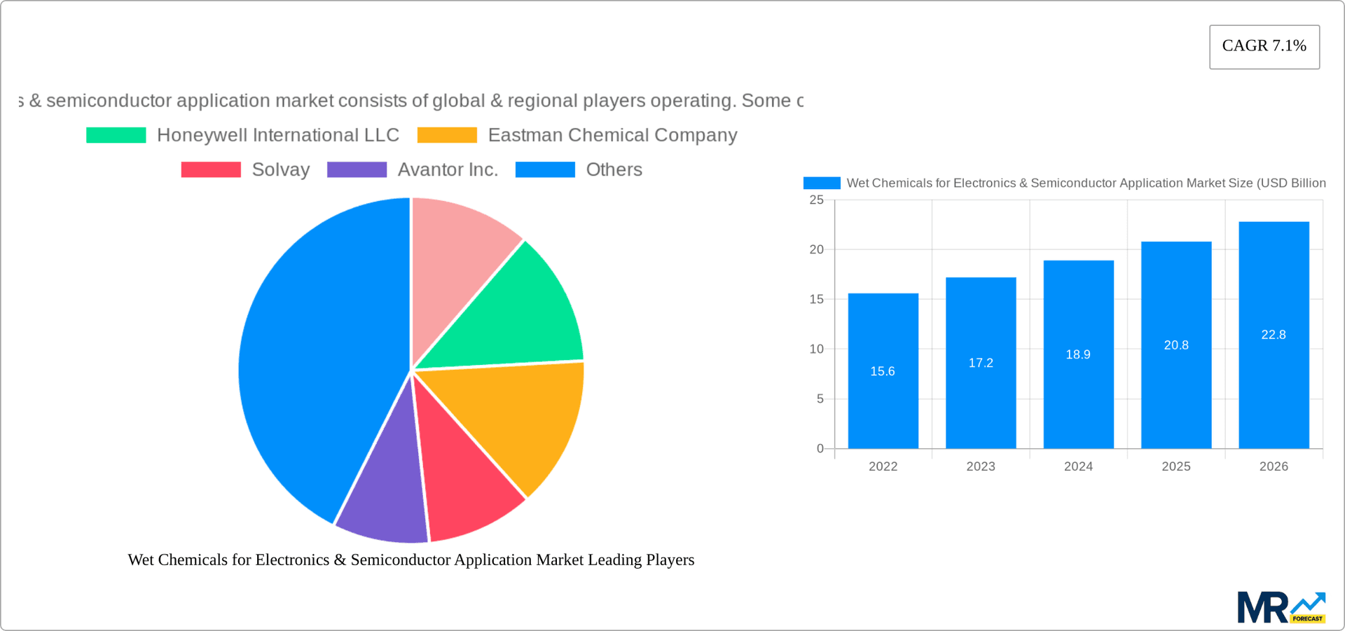 Wet Chemicals for Electronics & Semiconductor Application Market Research Report - Market Overview and Key Insights