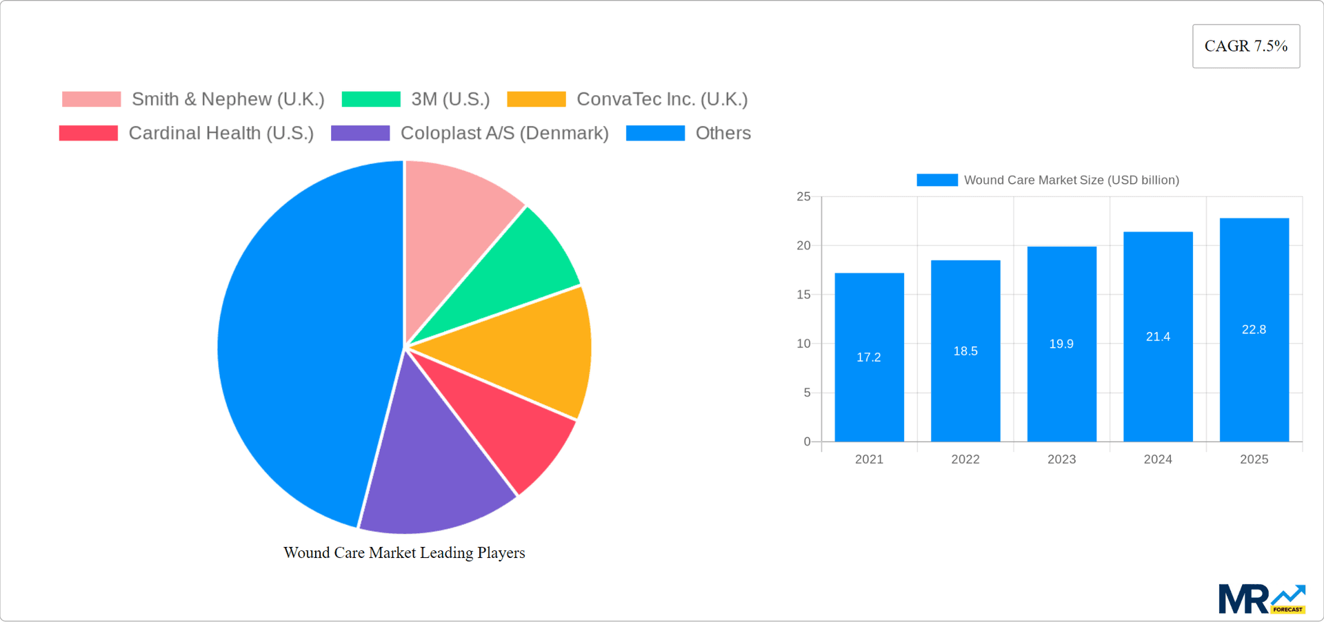 Wound Care Market Research Report - Market Overview and Key Insights