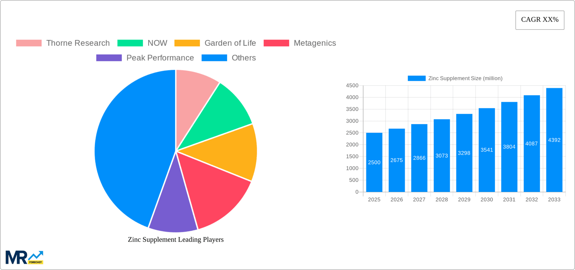 Zinc Supplement Research Report - Market Overview and Key Insights