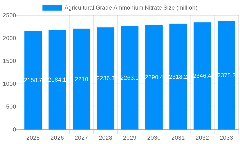 Agricultural Grade Ammonium Nitrate Market Size and Forecast (2024-2030)