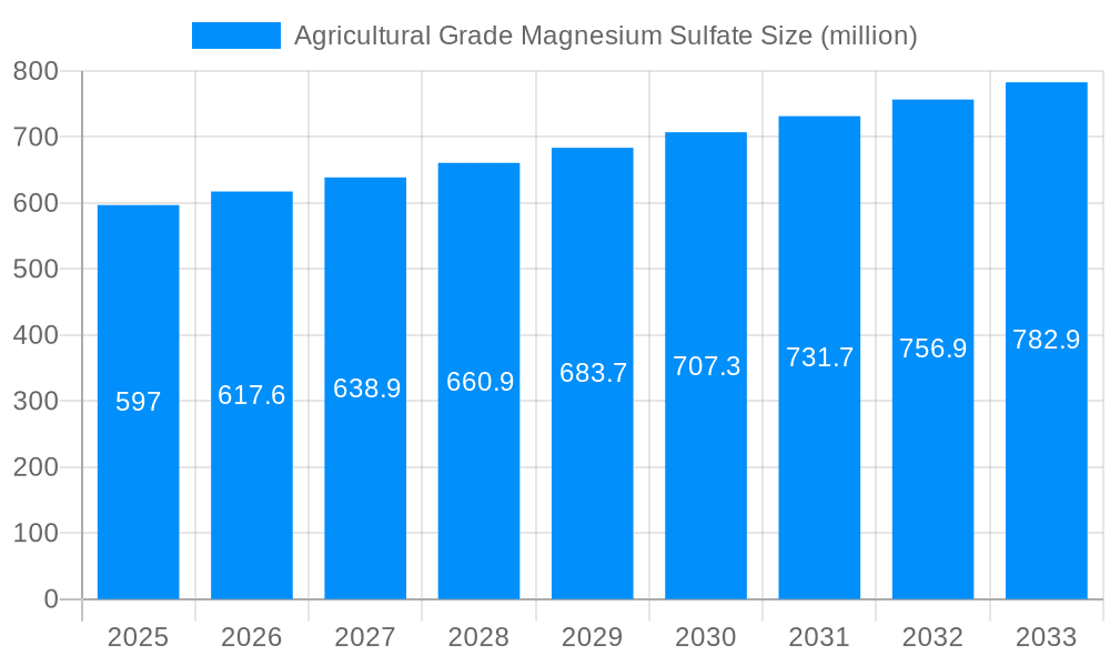 Agricultural Grade Magnesium Sulfate Market Size and Forecast (2024-2030)