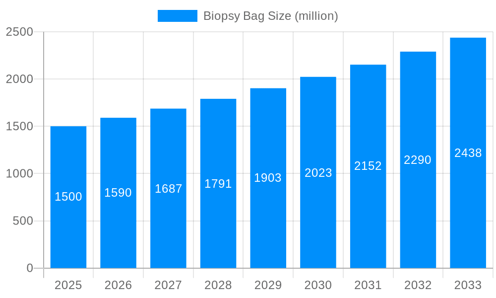 Biopsy Bag Market Size and Forecast (2024-2030)