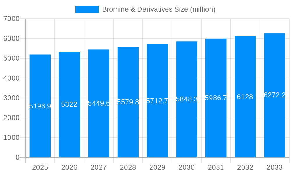 Bromine & Derivatives Market Size and Forecast (2024-2030)
