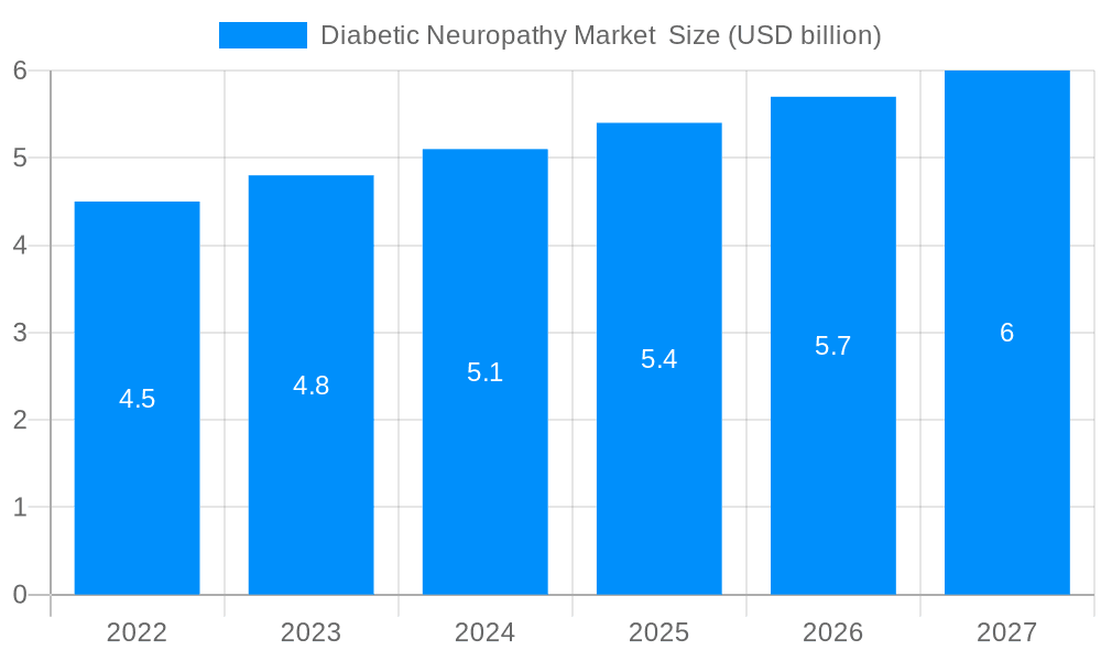 Diabetic Neuropathy Market Market Size and Forecast (2024-2030)