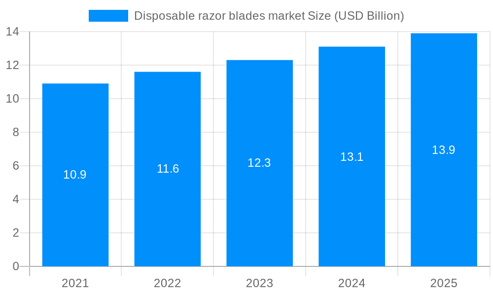 Disposable razor blades market Market Size and Forecast (2024-2030)