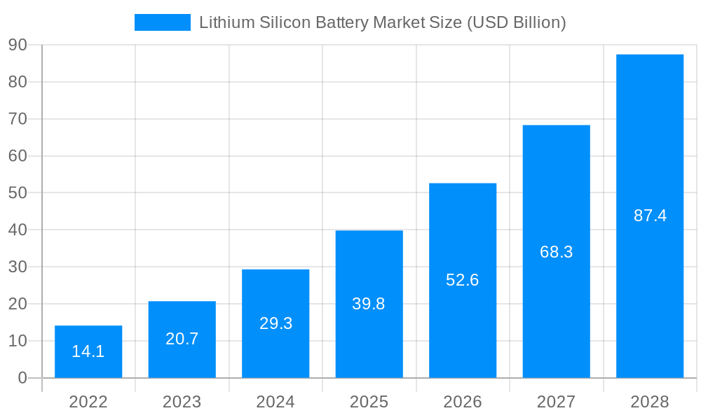 Lithium Silicon Battery Market Market Size and Forecast (2024-2030)