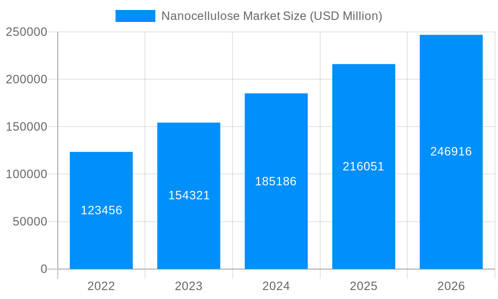 Nanocellulose Market Market Size and Forecast (2024-2030)
