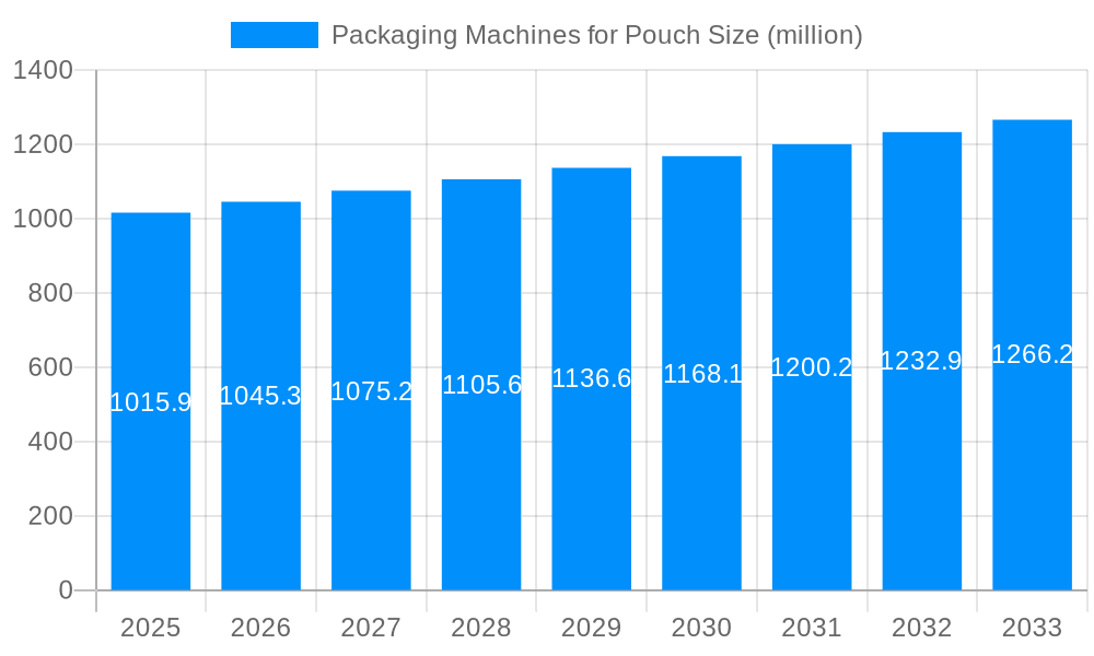 Packaging Machines for Pouch Market Size and Forecast (2024-2030)
