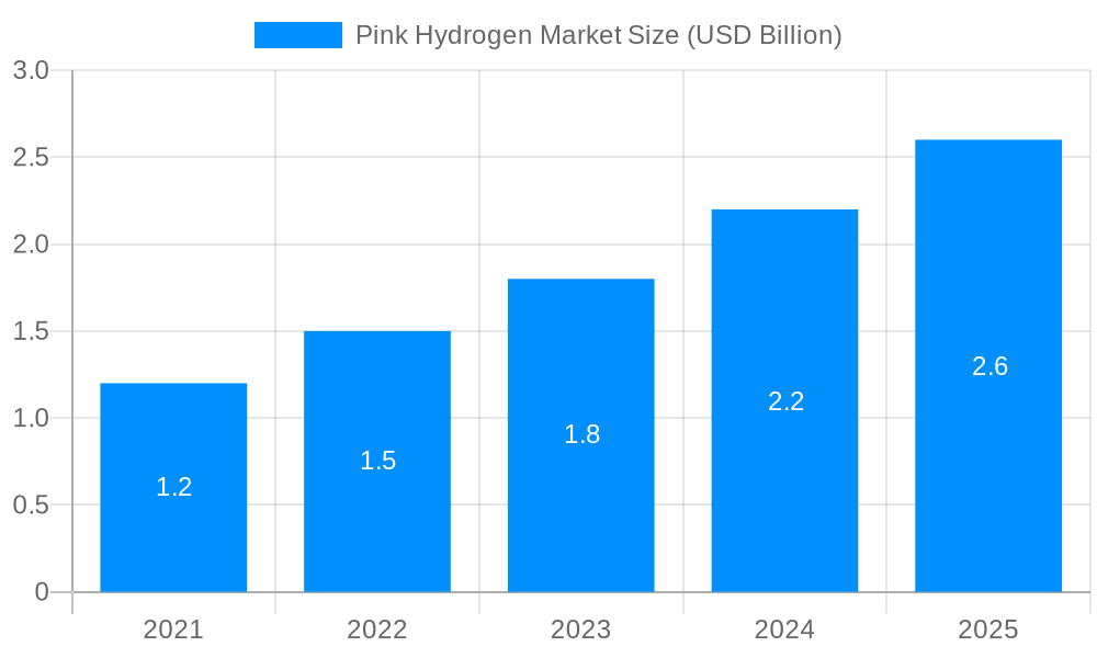 Pink Hydrogen Market Market Size and Forecast (2024-2030)