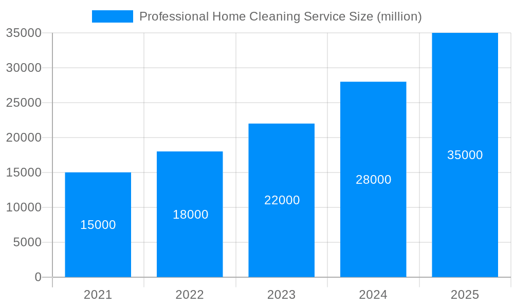 Professional Home Cleaning Service Market Size and Forecast (2024-2030)