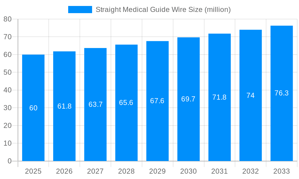 Straight Medical Guide Wire Market Size and Forecast (2024-2030)