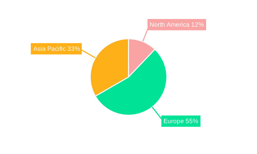 Electric Radiators Market Market Share by Region - Global Geographic Distribution