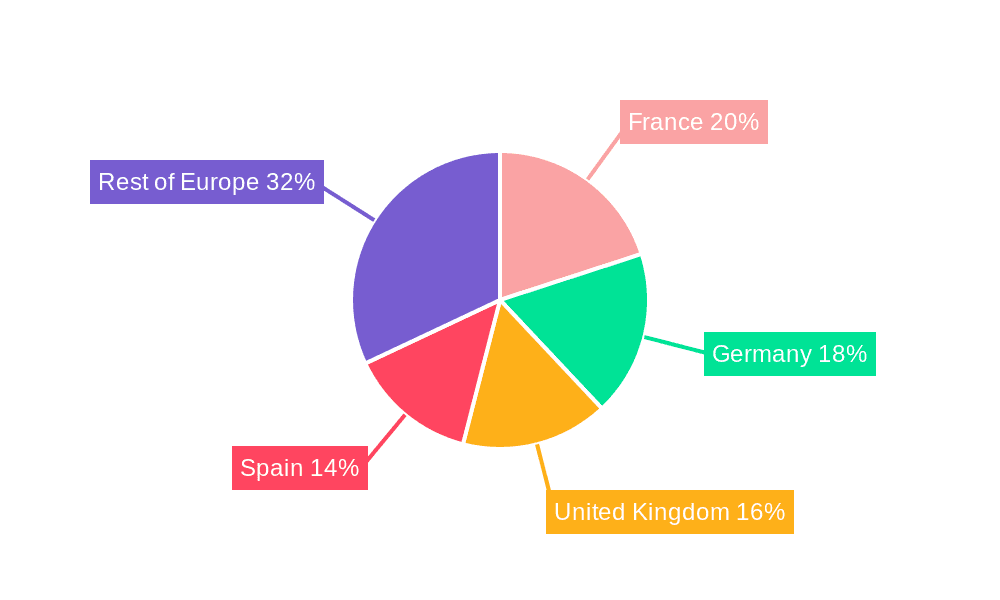 Europe Airport Ground and Cargo Handling Services Market Market Share by Region - Global Geographic Distribution