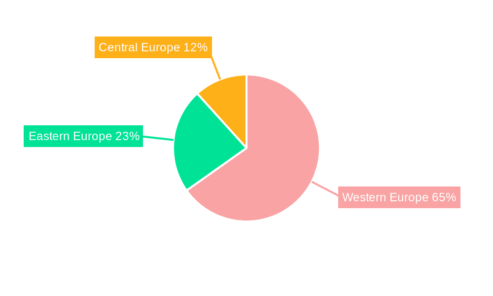 Europe Protective Face Mask Market Market Share by Region - Global Geographic Distribution