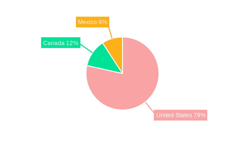 North America Adhesives and Sealants Market Market Share by Region - Global Geographic Distribution