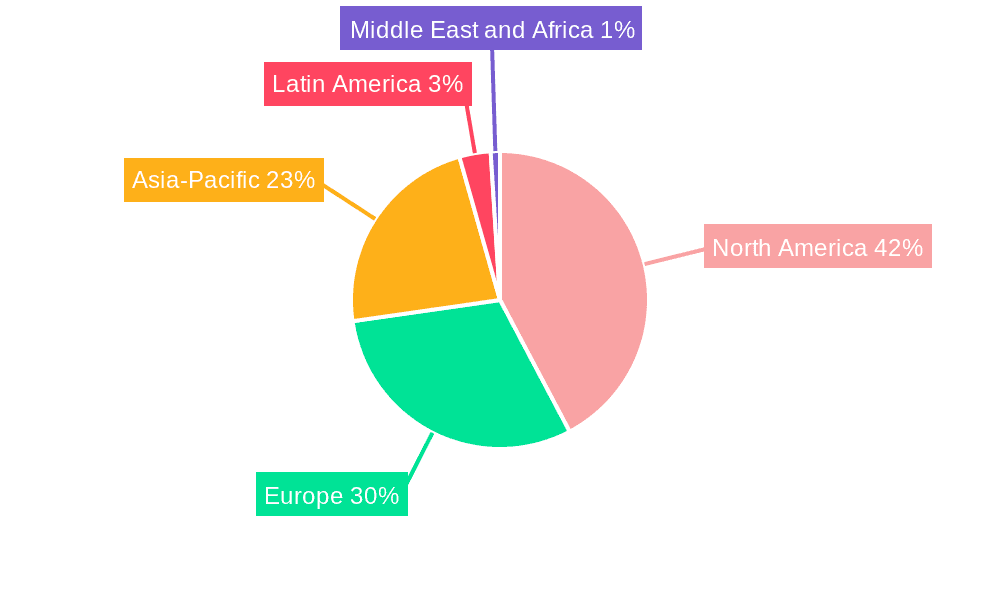 Precision Diagnostics Market Market Share by Region - Global Geographic Distribution
